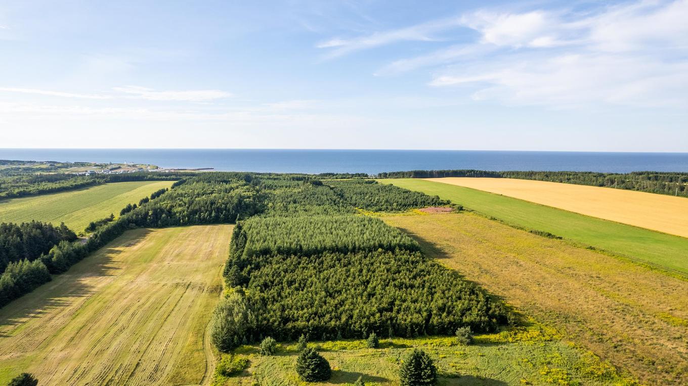 Acreage Route 16 Highway, St. Margaret'S, PE