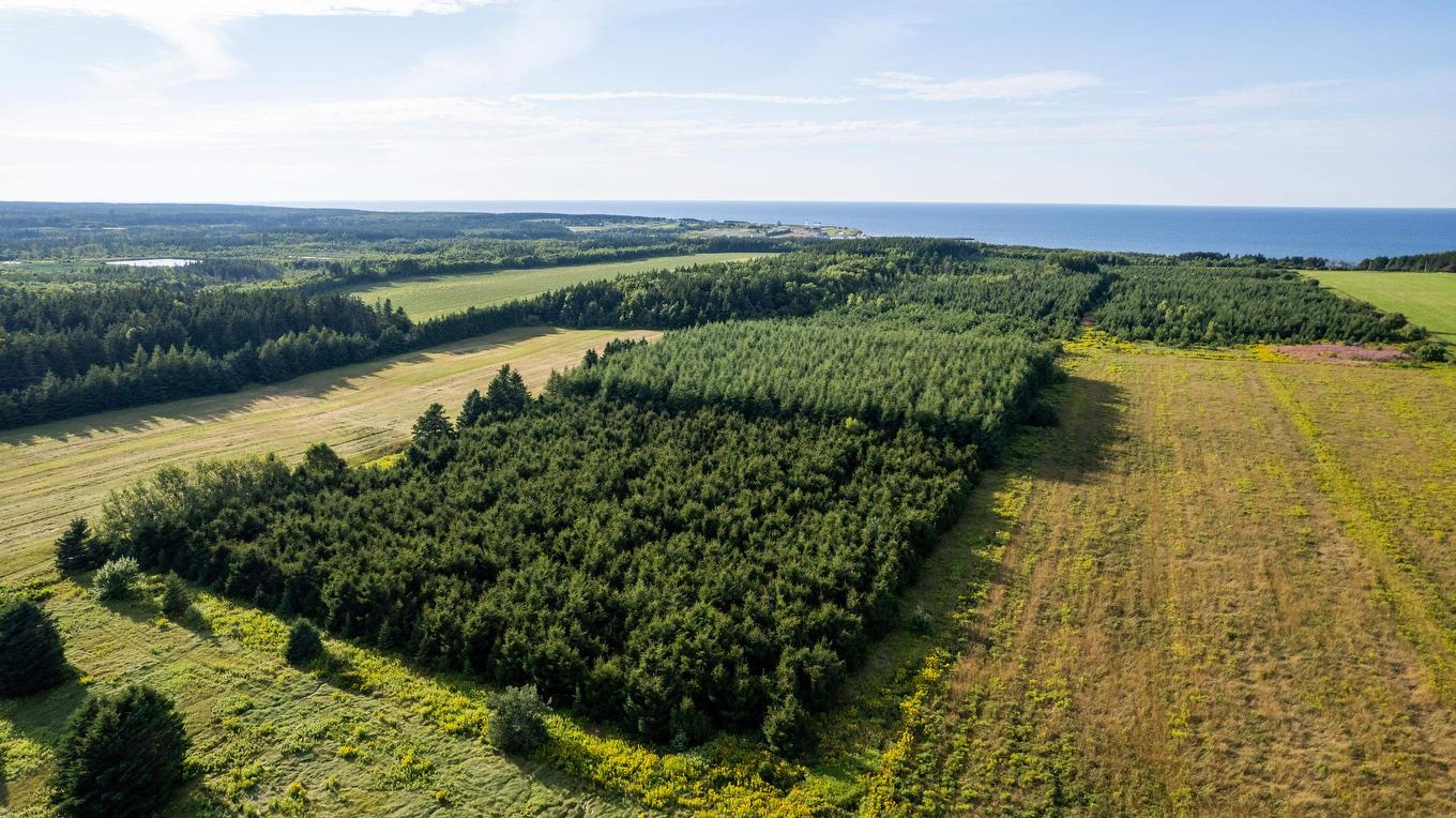 Acreage Route 16 Highway, St. Margaret'S, PE