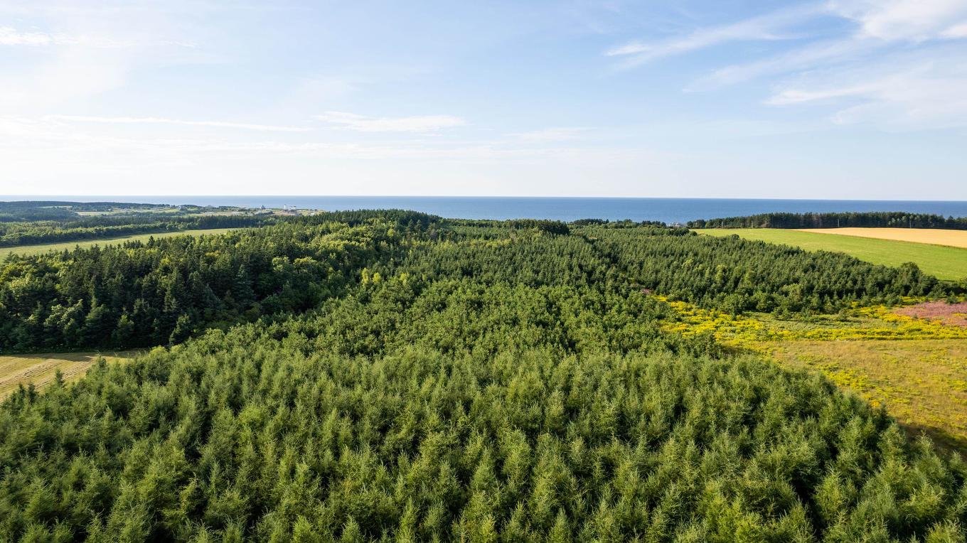 Acreage Route 16 Highway, St. Margaret'S, PE