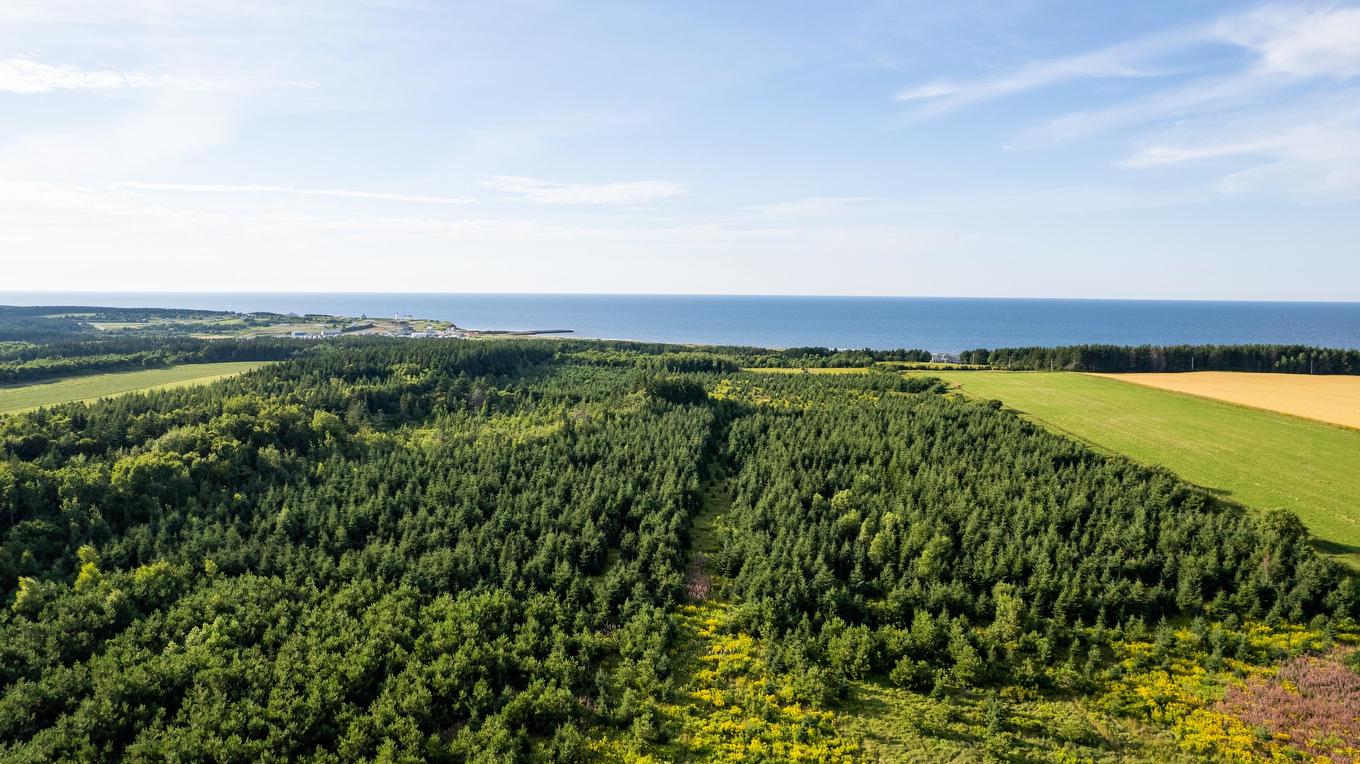 Acreage Route 16 Highway, St. Margaret'S, PE
