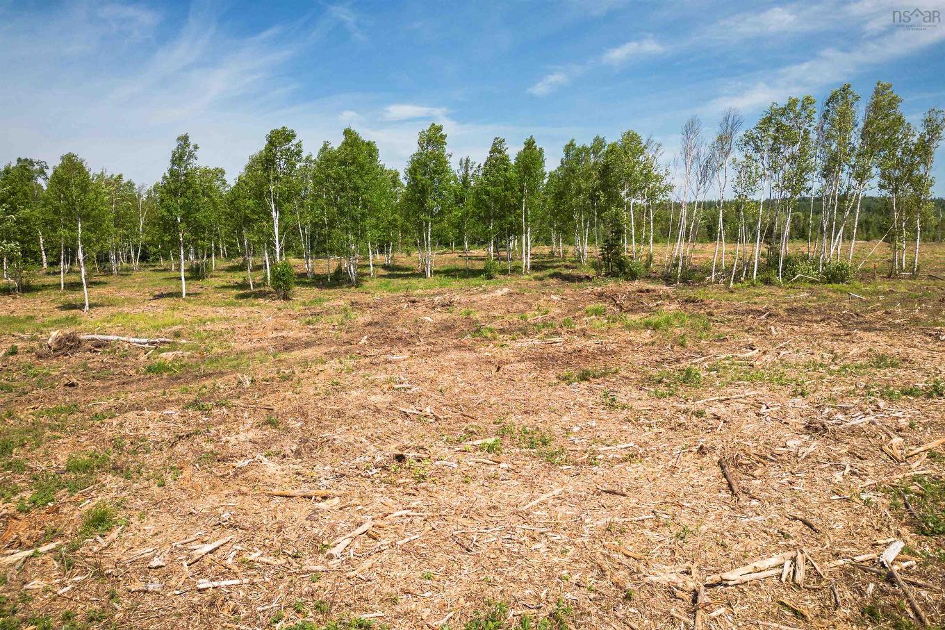 Lot 1 Whycocomagh-Port Hood Road, Mabou, NS