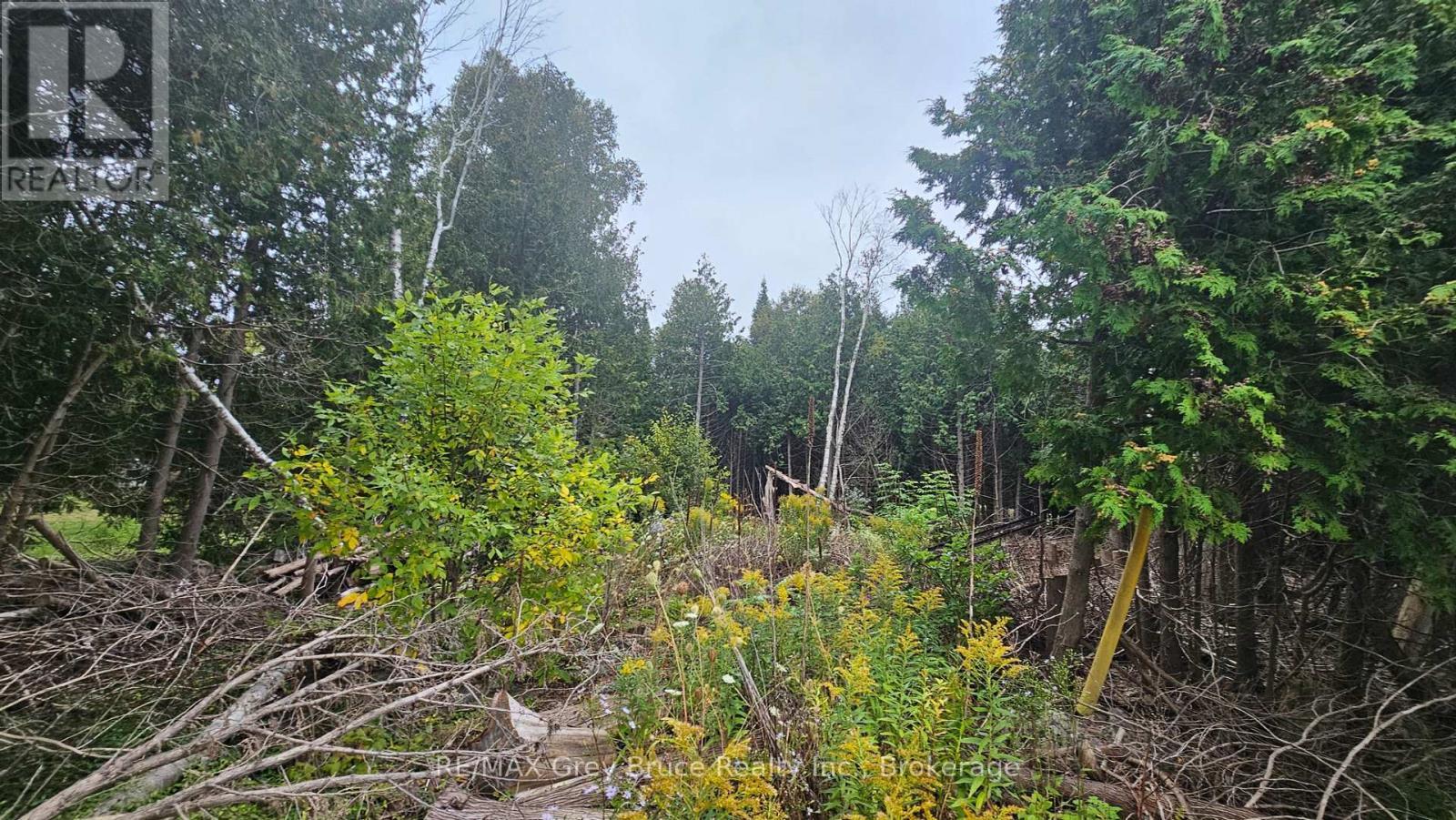 Pt Lt 23 Con 2 Wbr Pt 1 Highway 6 Highway, Northern Bruce Peninsula, ON