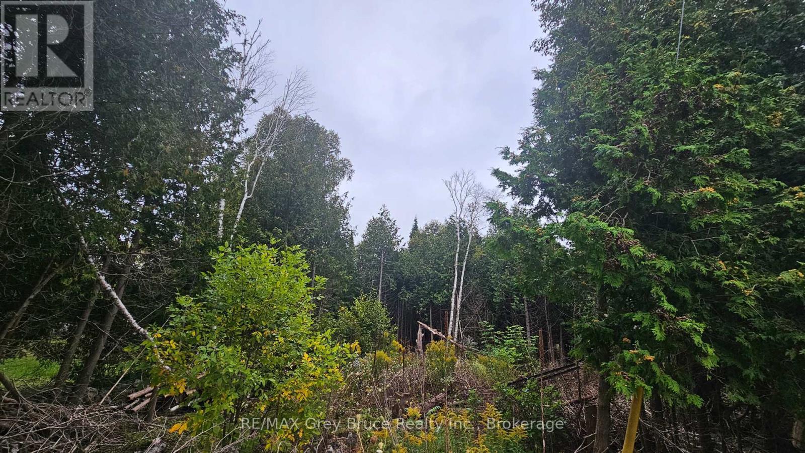 Pt Lt 23 Con 2 Wbr Pt 1 Highway 6 Highway, Northern Bruce Peninsula, ON