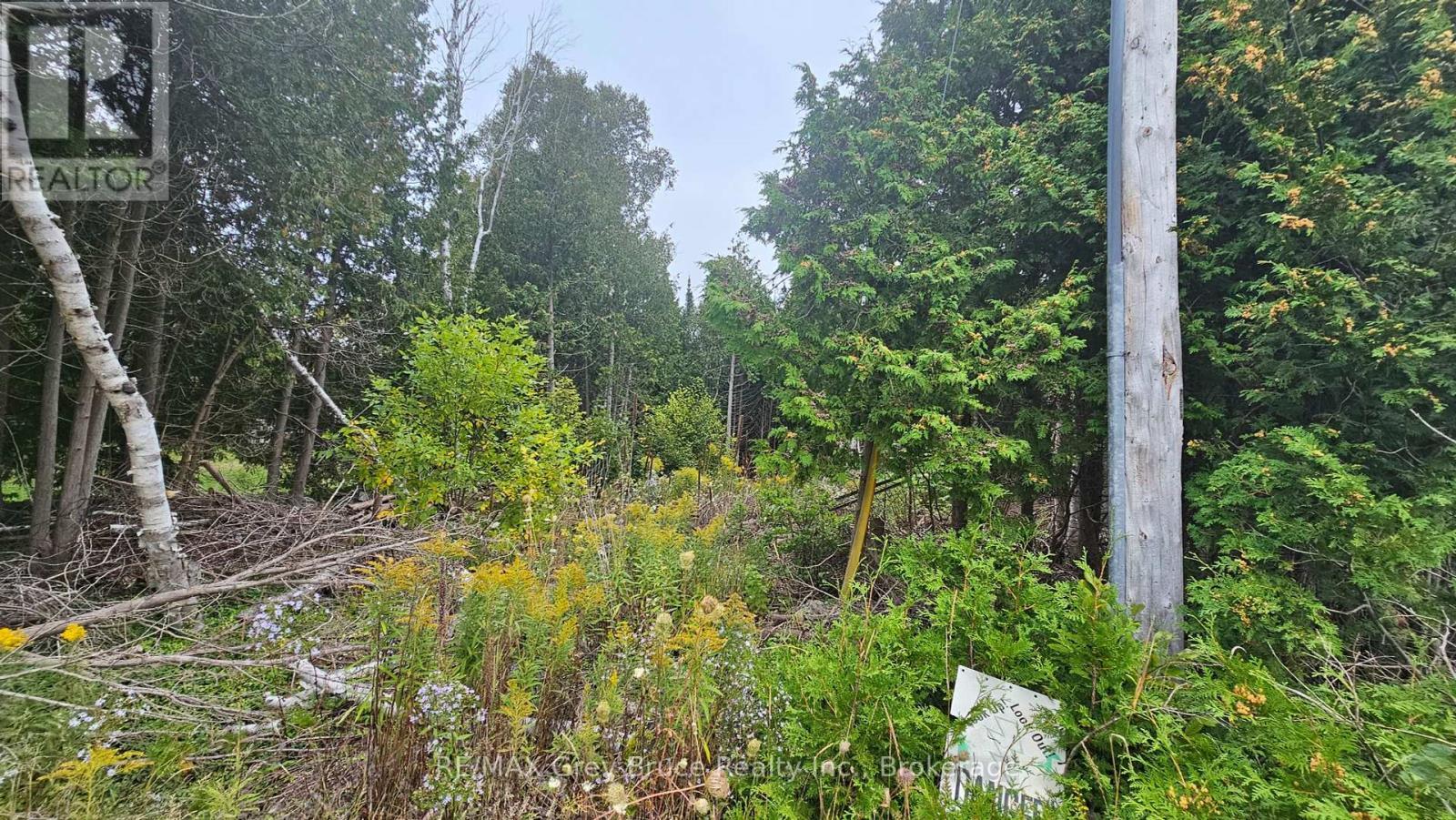 Pt Lt 23 Con 2 Wbr Pt 1 Highway 6 Highway, Northern Bruce Peninsula, ON