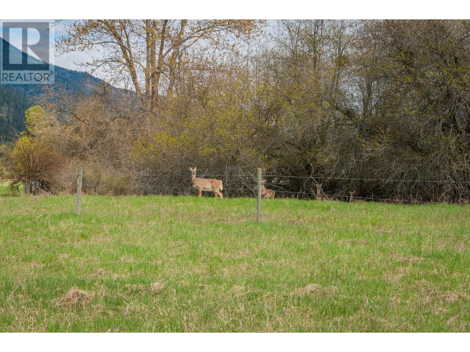 Lot 12 Erindale Road, Harrop, BC