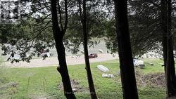 Standing just atop of the bank. -