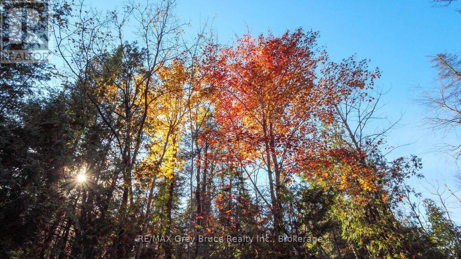 Part Lot 37 Con D Sauble Falls Parkway, South Bruce Peninsula, ON