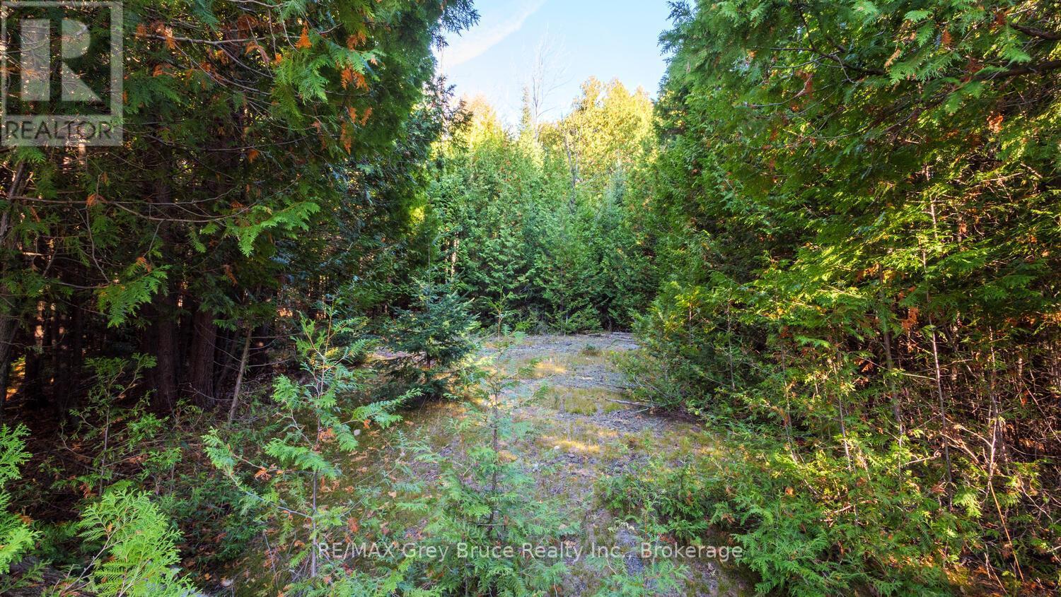 Part Lot 37 Con D Sauble Falls Parkway, South Bruce Peninsula, ON