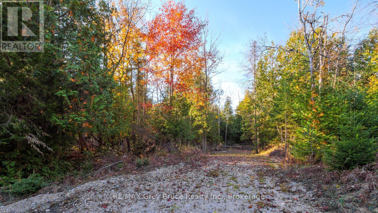 Part Lot 37 Con D Sauble Falls Parkway, South Bruce Peninsula, ON