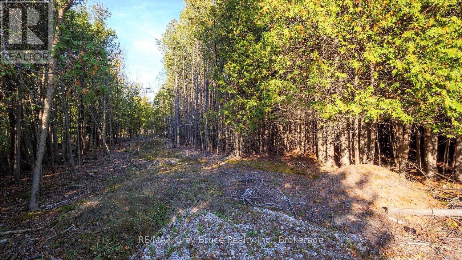 Part Lot 37 Con D Sauble Falls Parkway, South Bruce Peninsula, ON