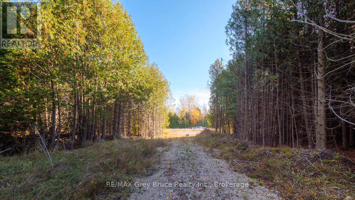 Part Lot 37 Con D Sauble Falls Parkway, South Bruce Peninsula, ON