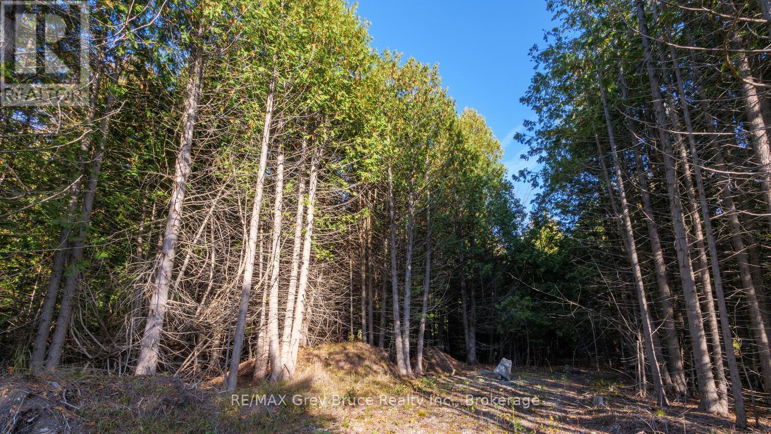 Part Lot 37 Con D Sauble Falls Parkway, South Bruce Peninsula, ON
