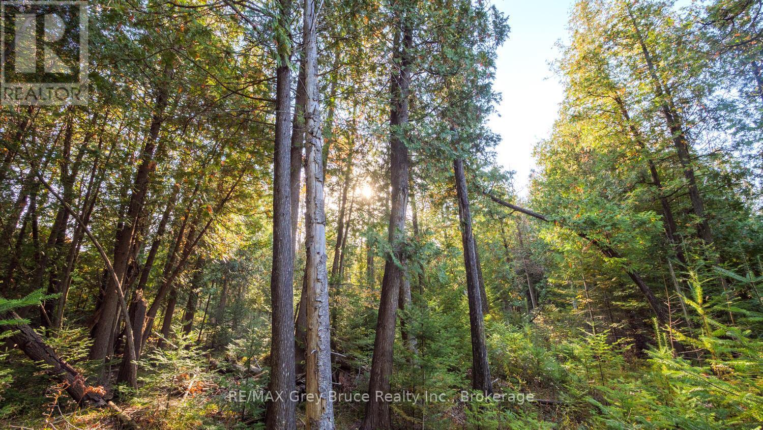 Part Lot 37 Con D Sauble Falls Parkway, South Bruce Peninsula, ON