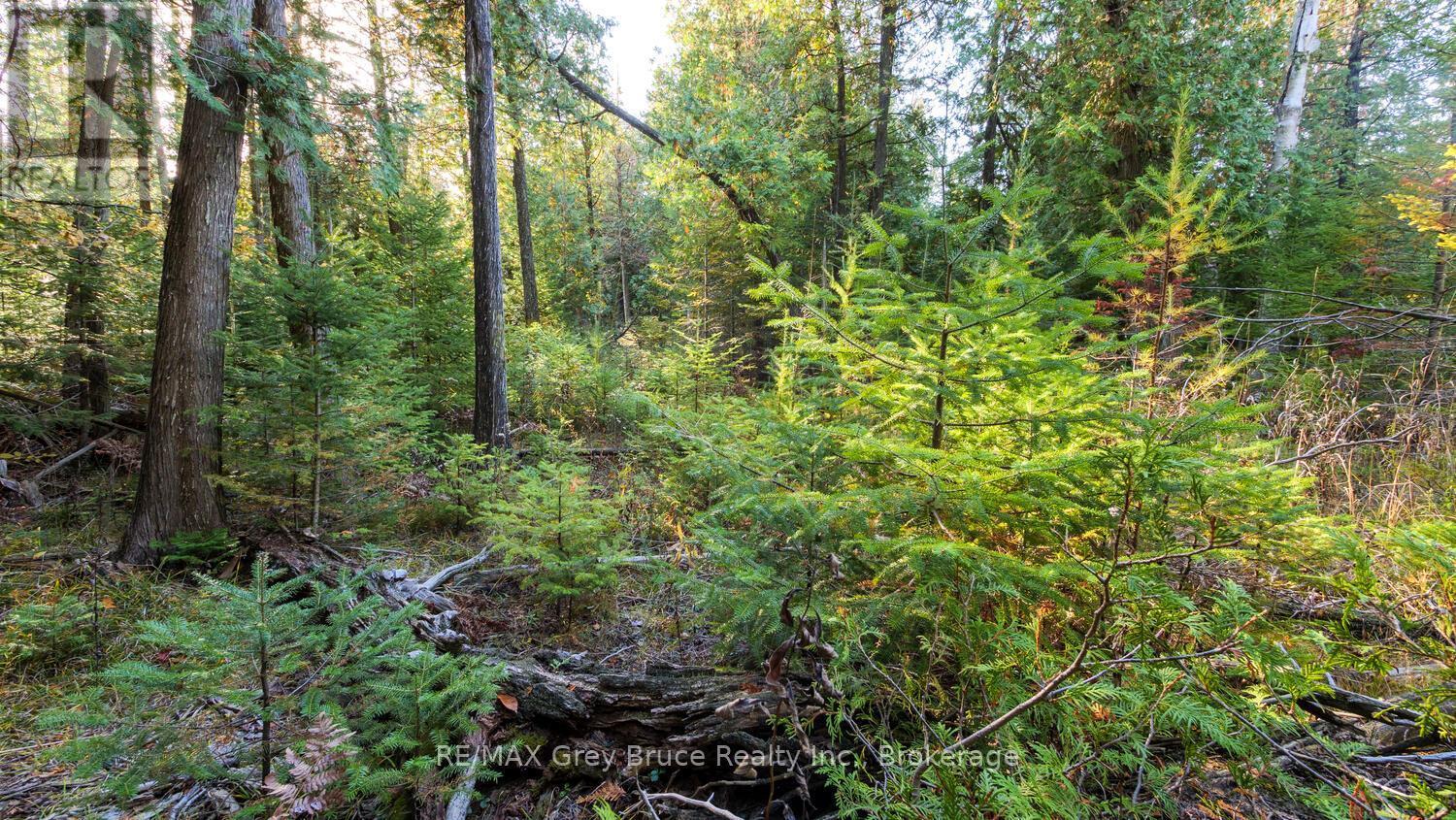 Part Lot 37 Con D Sauble Falls Parkway, South Bruce Peninsula, ON