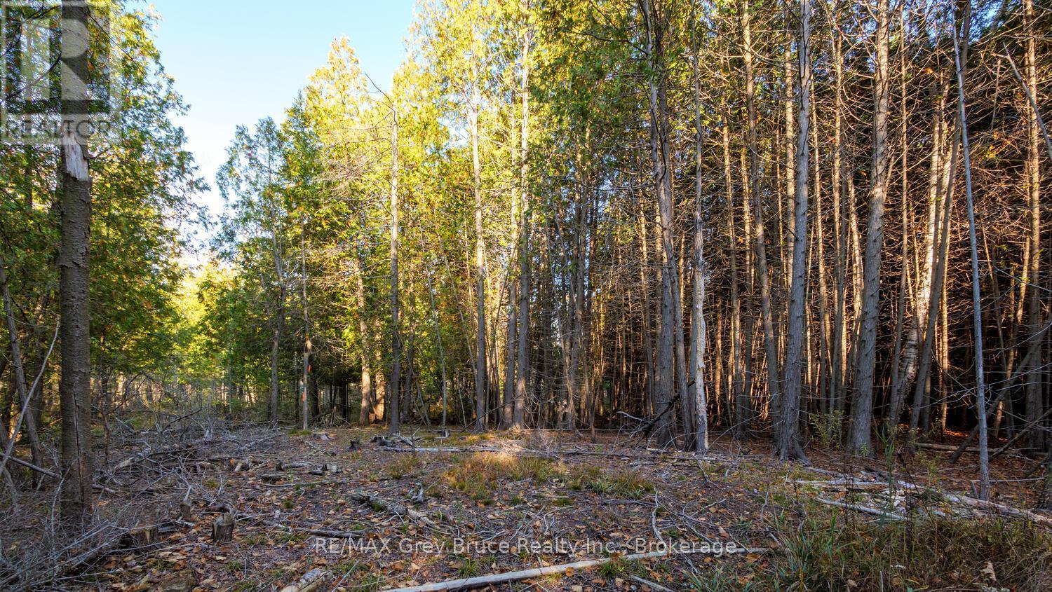 Part Lot 37 Con D Sauble Falls Parkway, South Bruce Peninsula, ON