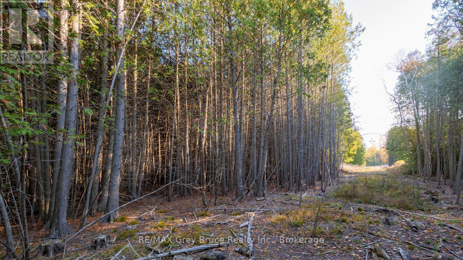 Part Lot 37 Con D Sauble Falls Parkway, South Bruce Peninsula, ON