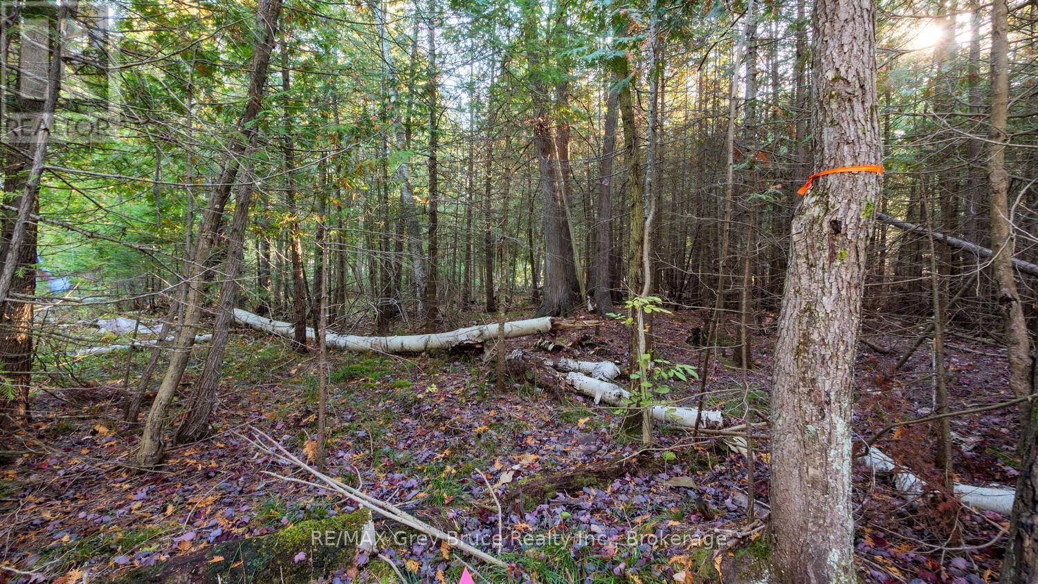Part Lot 37 Con D Sauble Falls Parkway, South Bruce Peninsula, ON