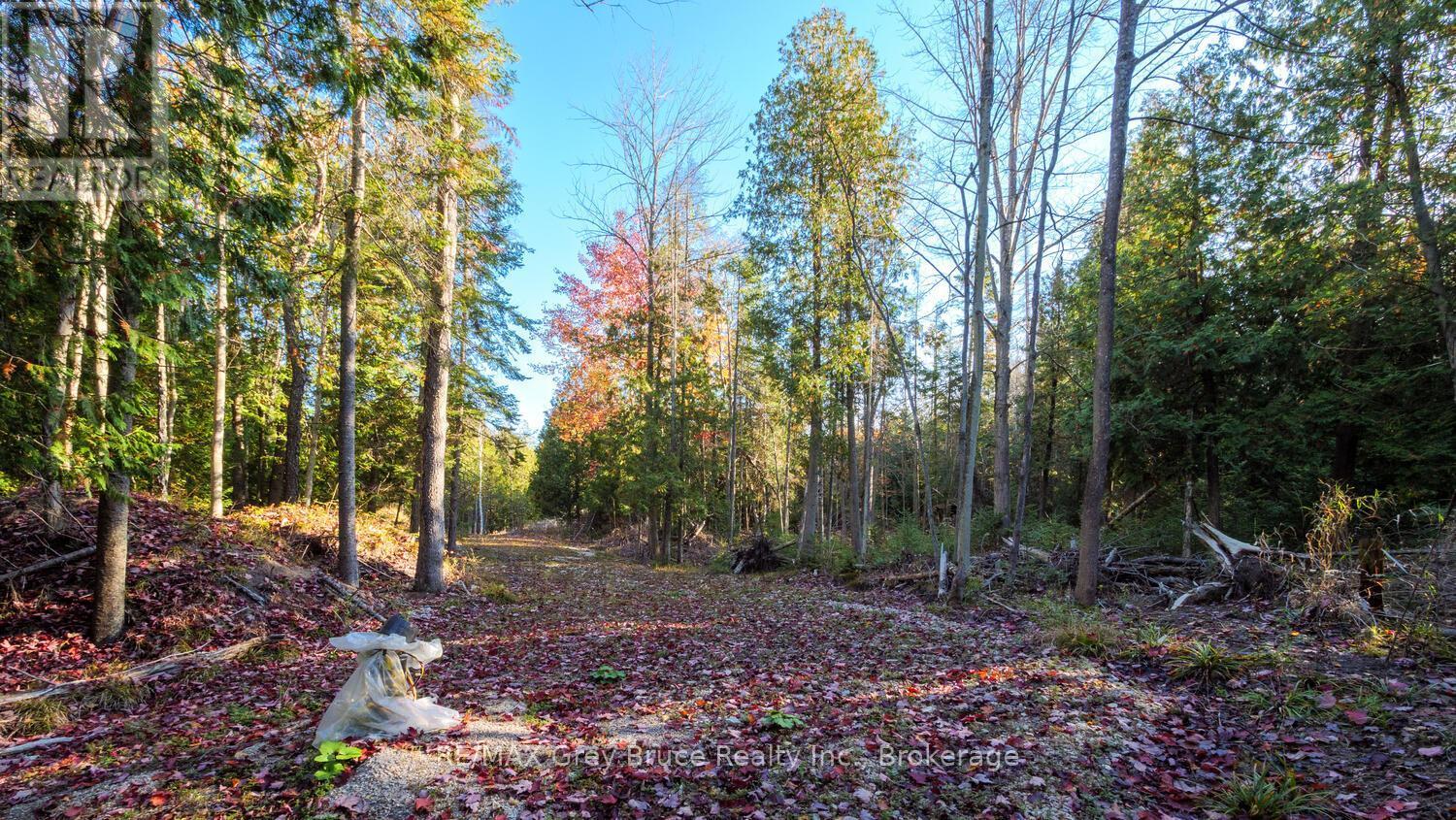 Part Lot 37 Con D Sauble Falls Parkway, South Bruce Peninsula, ON