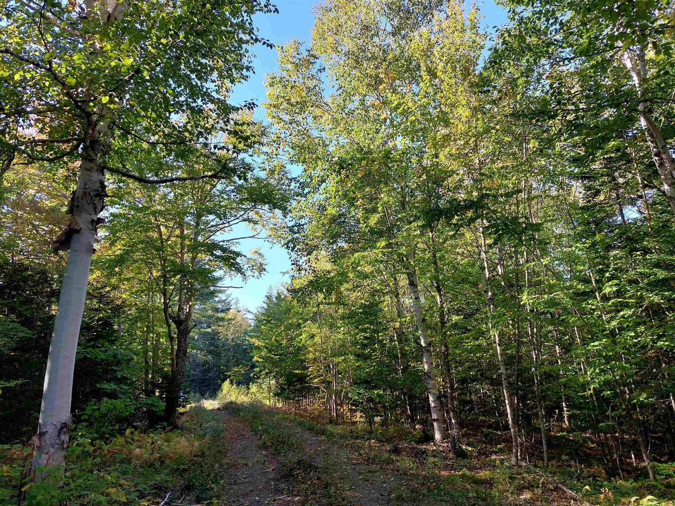 Lot 50 Redbird Dr., Militia Point, NS