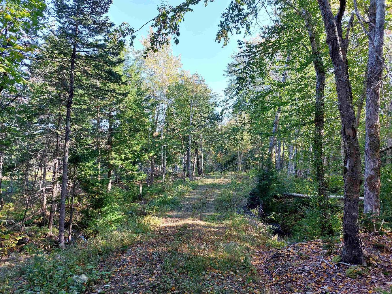 Lot 50 Redbird Dr., Militia Point, NS