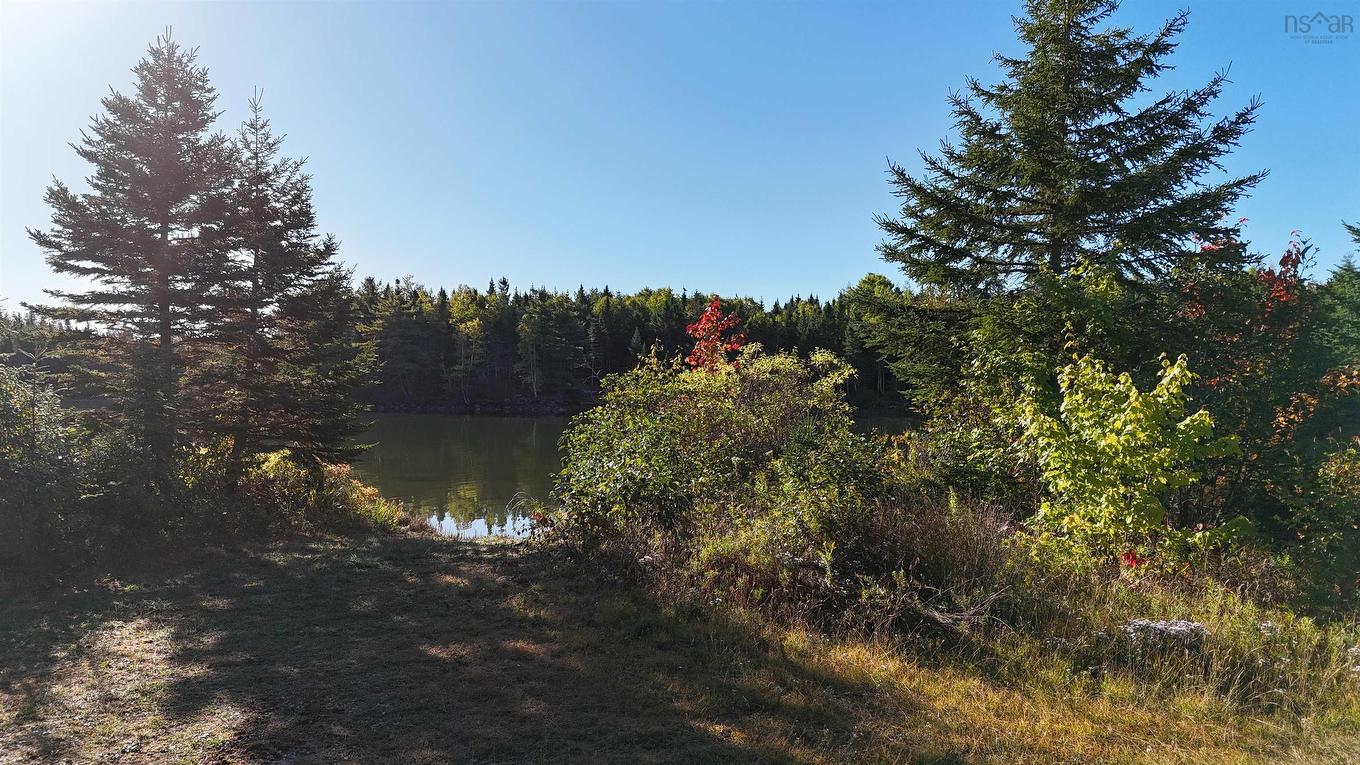 Lot 17 Helmuts Lane, Cleveland, NS