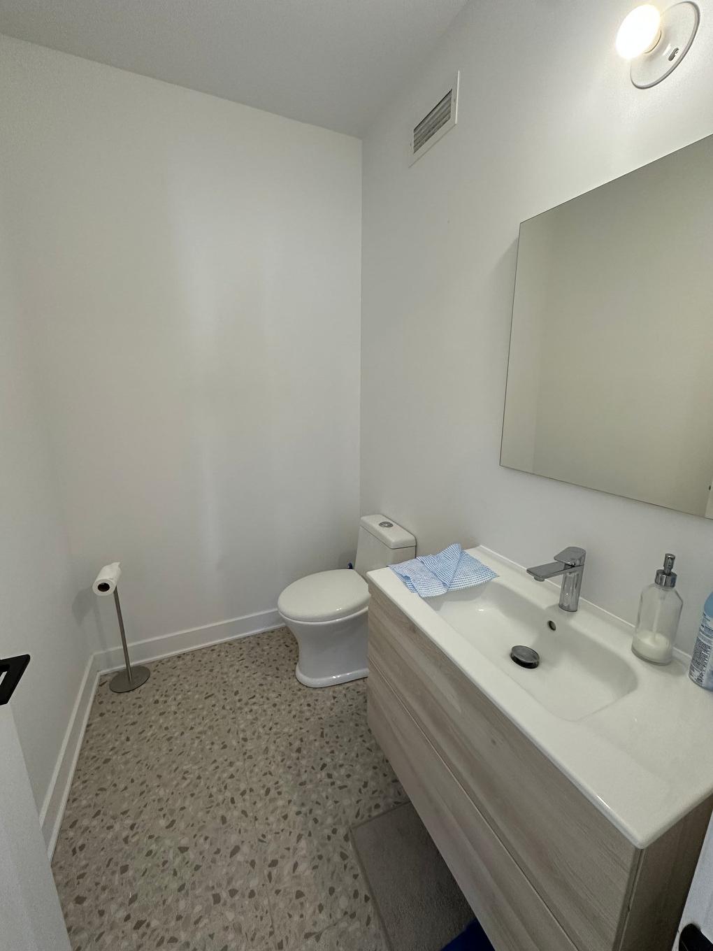 Salle d'eau - 13371 Boul. Gouin O., Montréal (Pierrefonds-Roxboro), QC - Indoor Photo Showing Bathroom