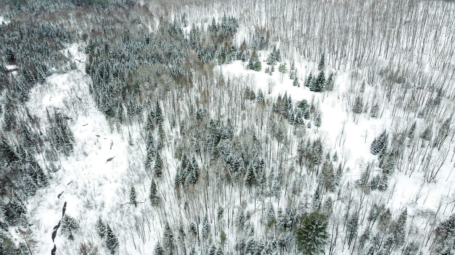 Vue d'ensemble - 846 Côte À Favier, Namur, QC - Outdoor