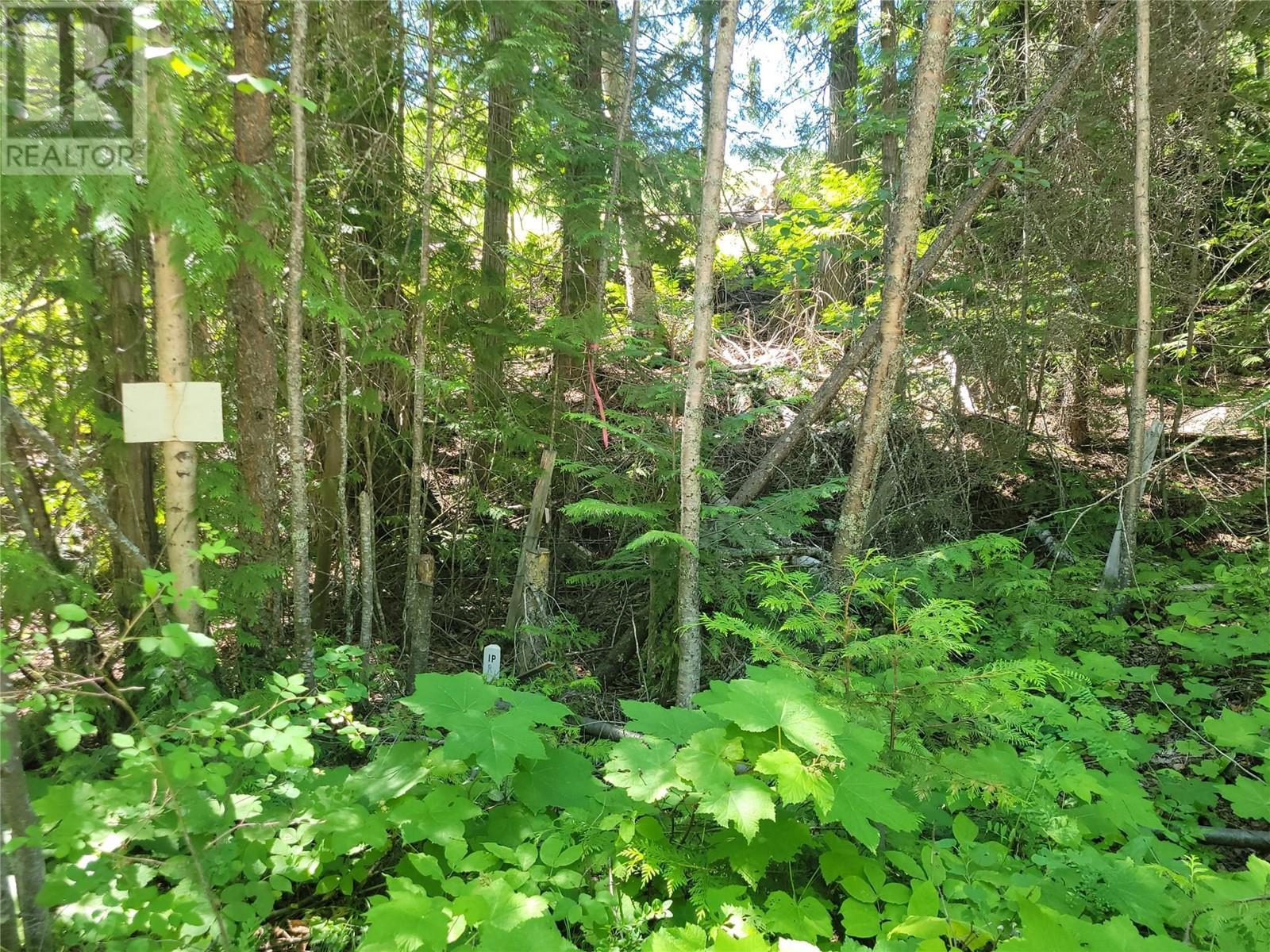 941 Chase Falkland Road, Chase, BC