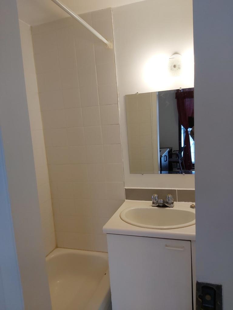 Bathroom - 413-5850 Av. Papineau, Montréal (Rosemont/La Petite-Patrie), QC - Indoor Photo Showing Bathroom