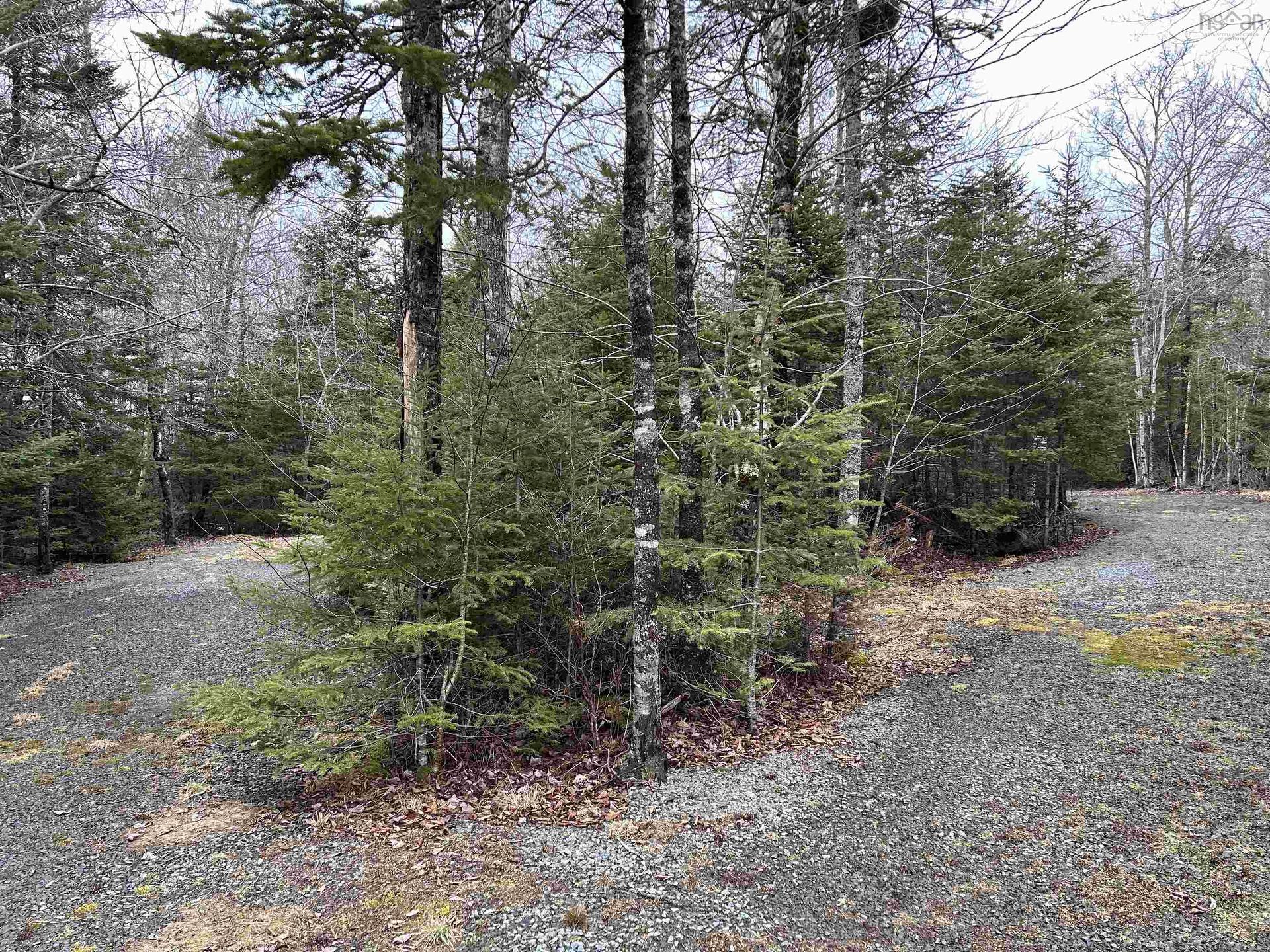 3410 Old Guysborough Road, Devon, NS