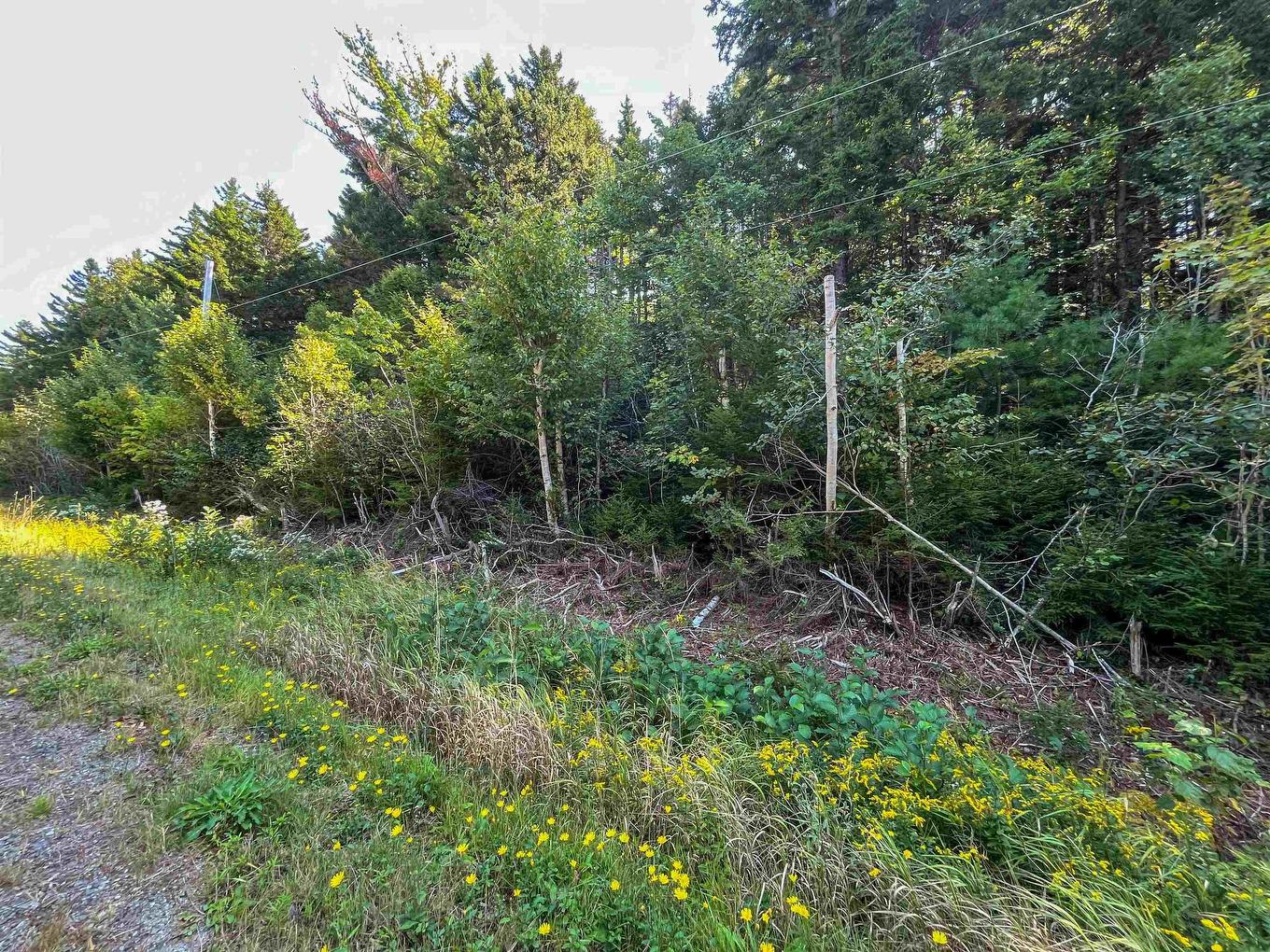 Lots Thibault Road, St. Joseph, NS