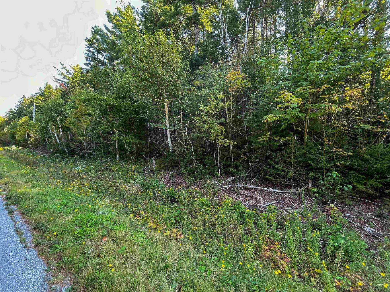 Lots Thibault Road, St. Joseph, NS