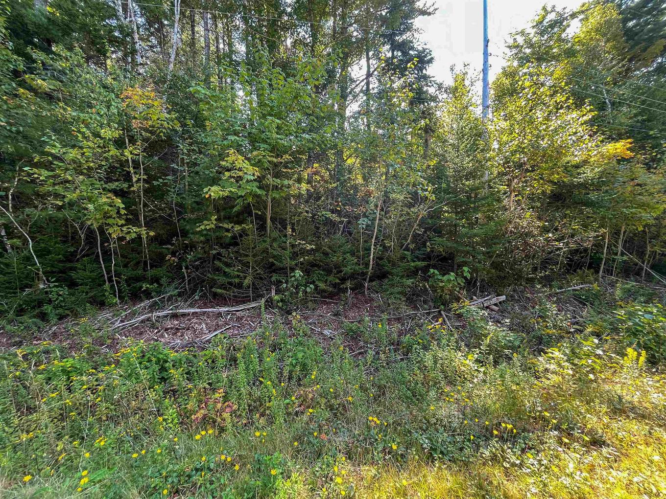 Lots Thibault Road, St. Joseph, NS