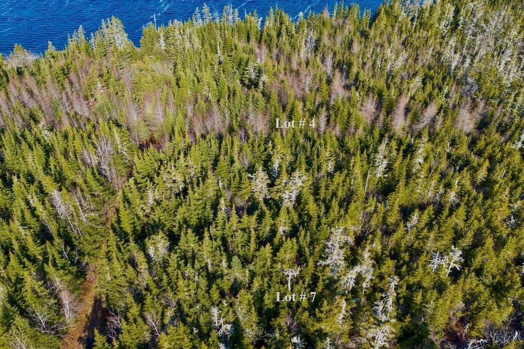 Lots Matthew'S Lake Road, Little Harbour, NS