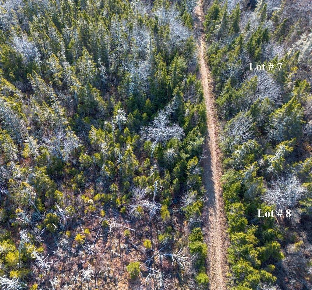 Lots Matthew'S Lake Road, Little Harbour, NS