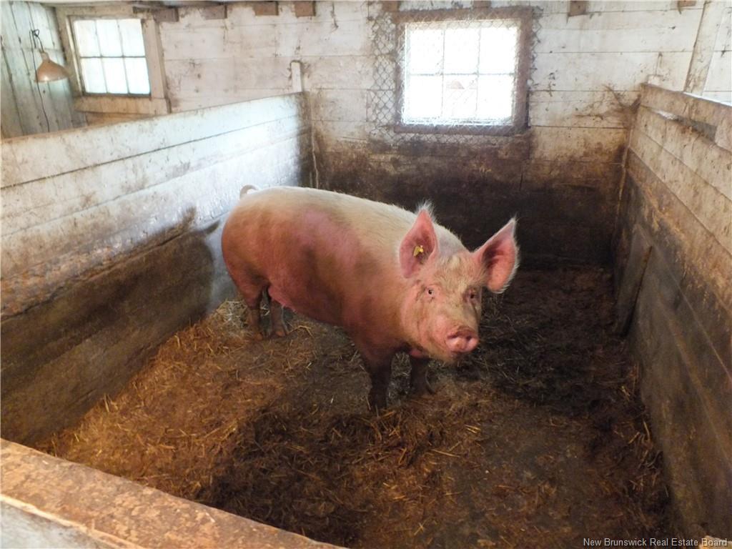 59 Kilburn Rd, Kilburn, NB