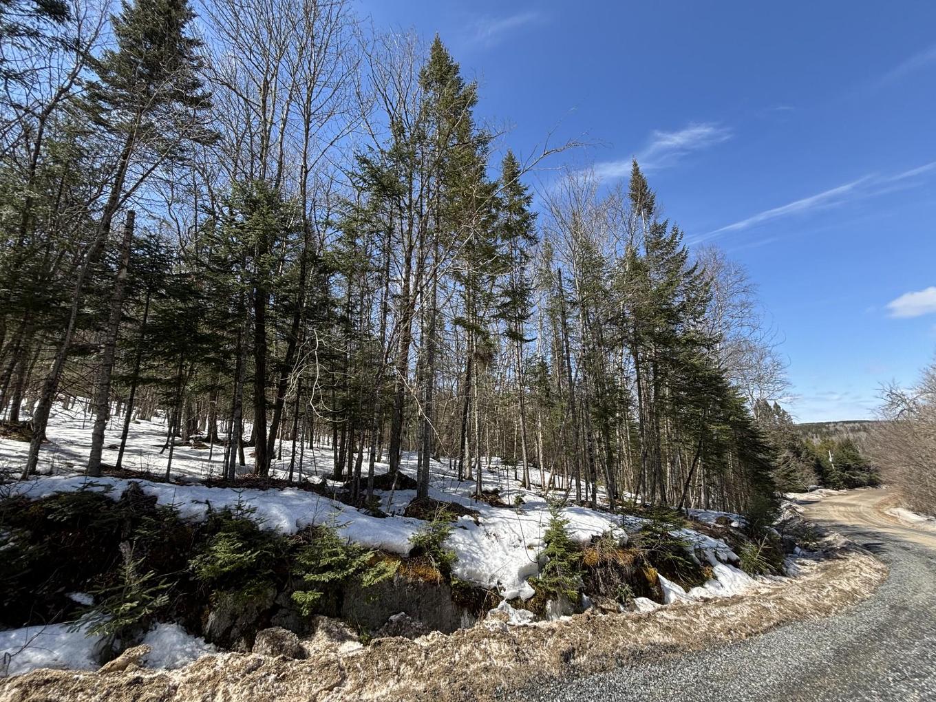 Land/Lot - Ch. Des Éperviers, Nominingue, QC