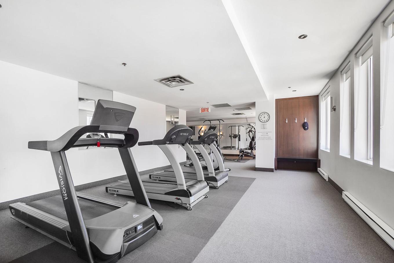 Other - 216-2160 Av. Terry-Fox, Laval (Chomedey), QC - Indoor Photo Showing Gym Room