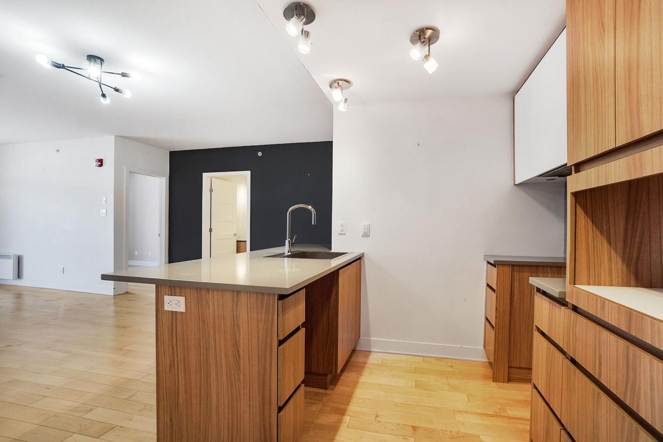 Kitchen - 216-2160 Av. Terry-Fox, Laval (Chomedey), QC - Indoor Photo Showing Kitchen