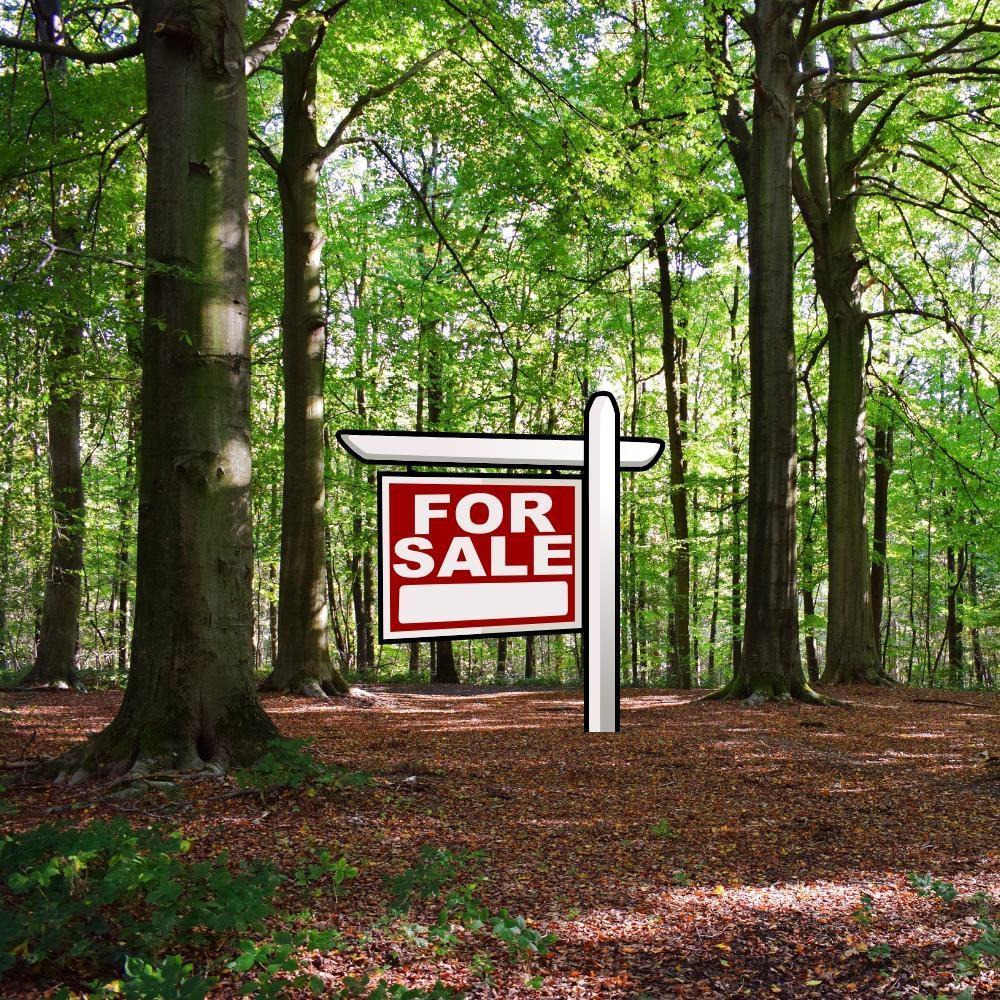 0 No 3 Highway Allendale, Shelburne, NS