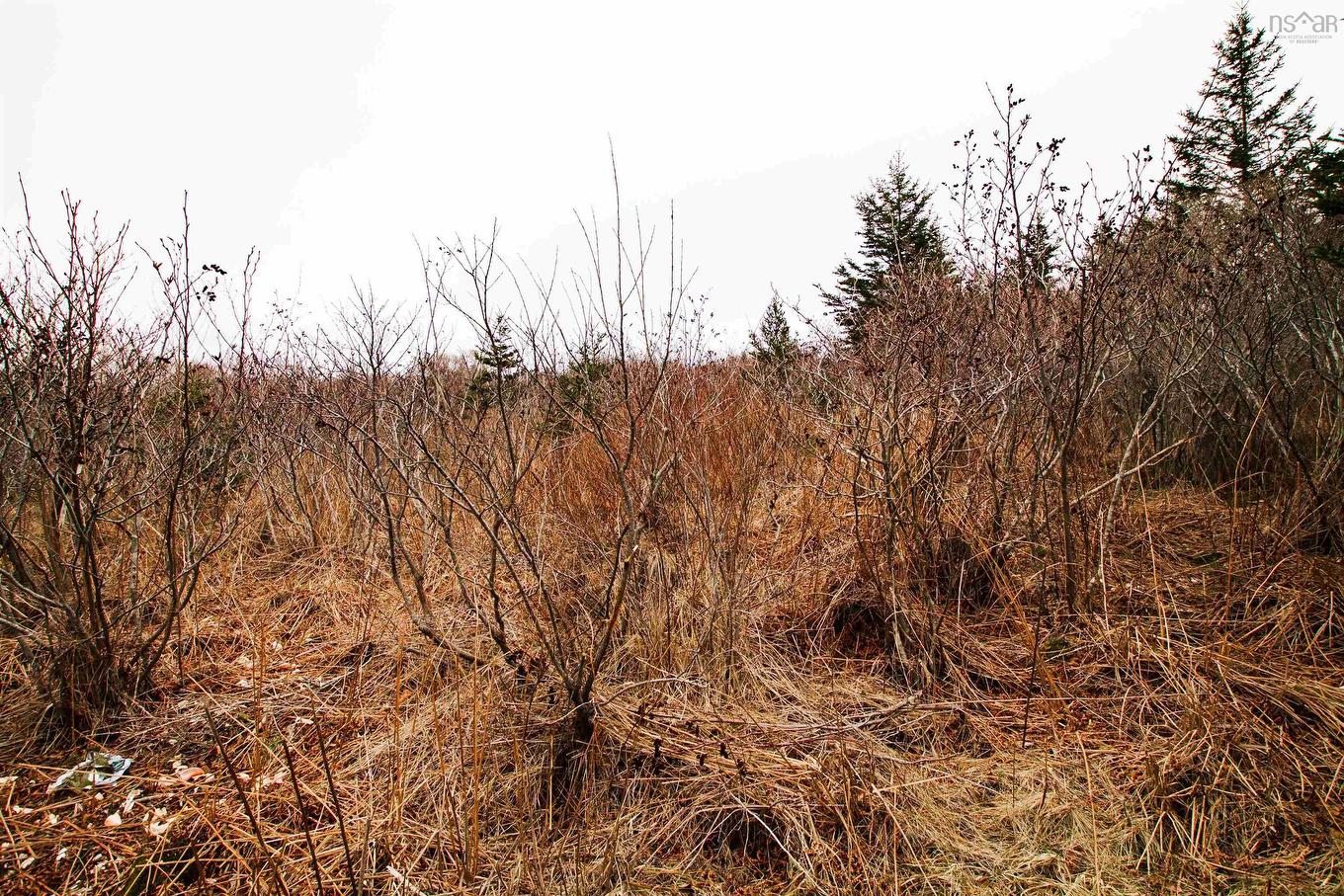 Lot 39 Quaco Road, Port Maitland, NS