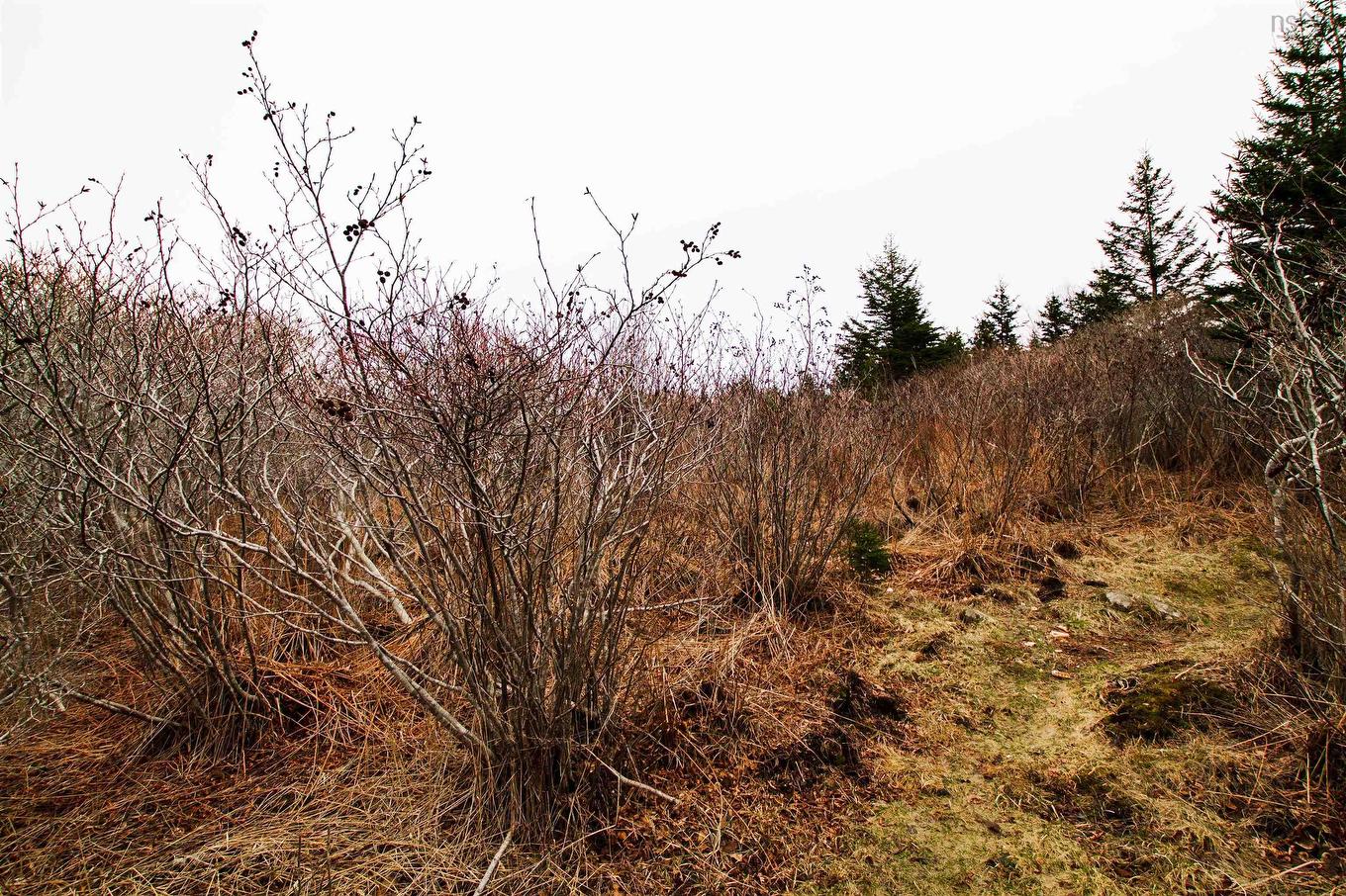 Lot 39 Quaco Road, Port Maitland, NS