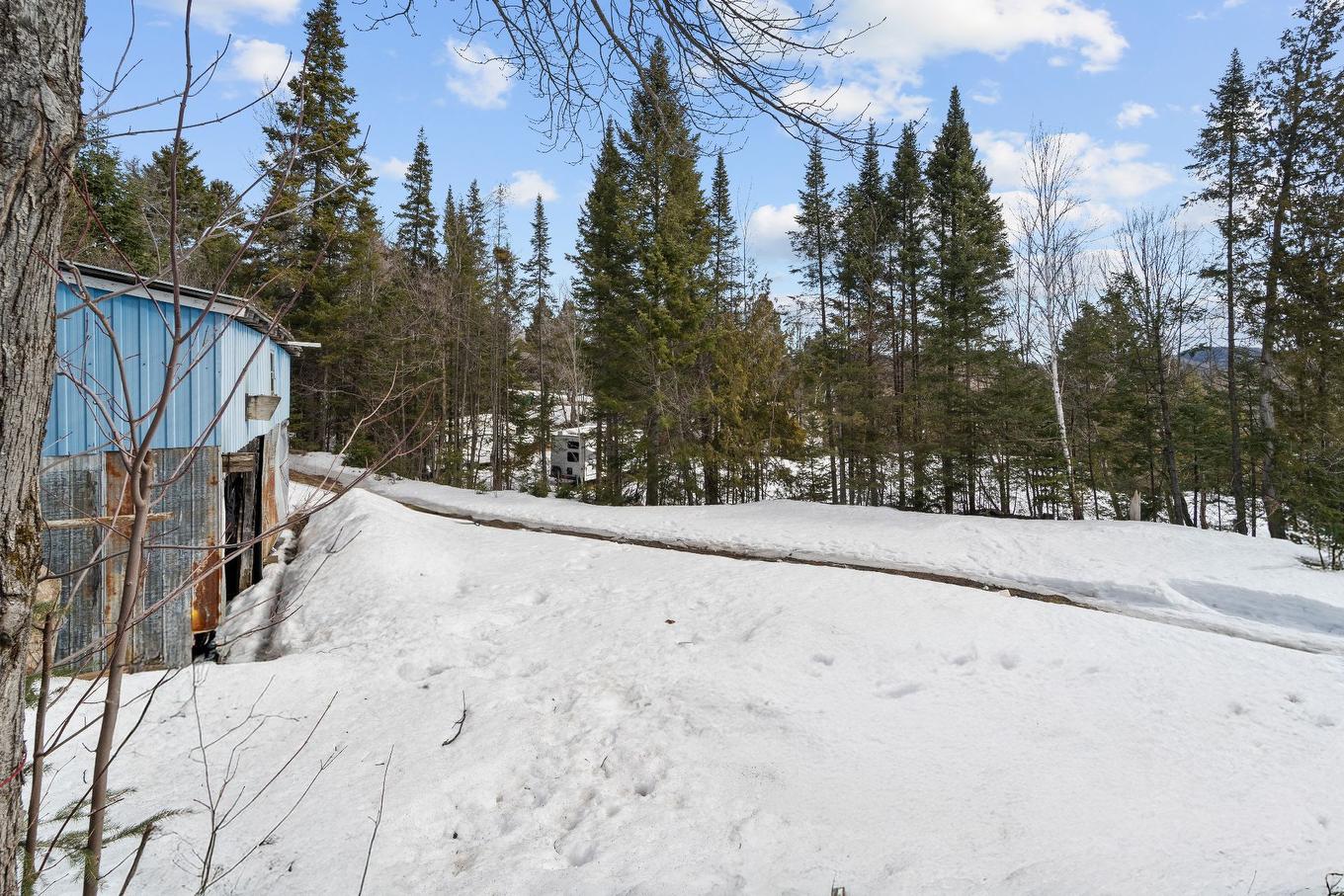 Land/Lot - 903 Route 117, Val-David, QC - Outdoor