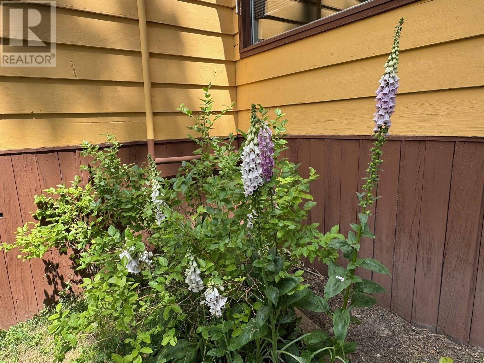 5128 Duck Creek Road, Wynndel, BC - Outdoor