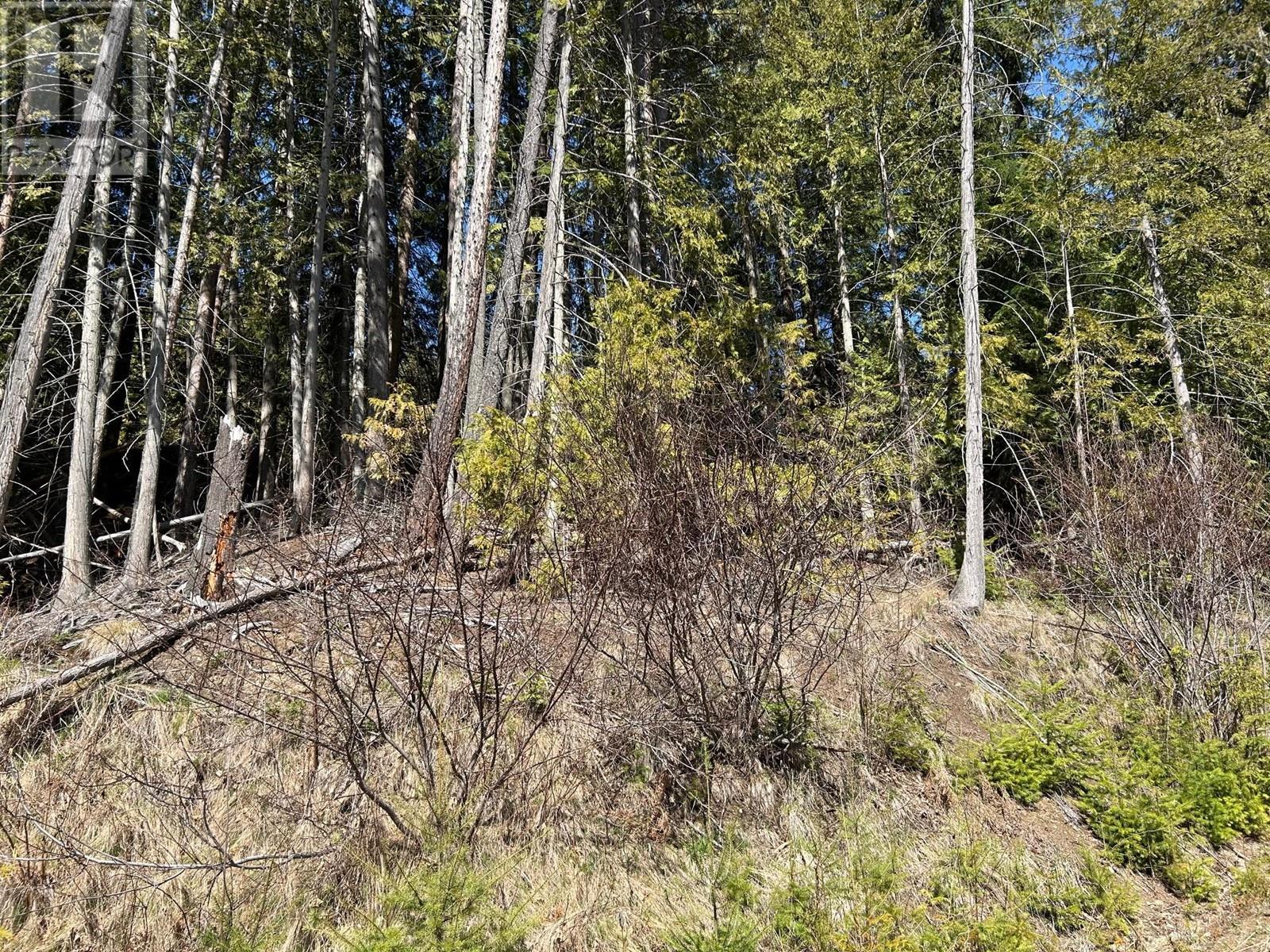 7416 3A Highway, Balfour, BC