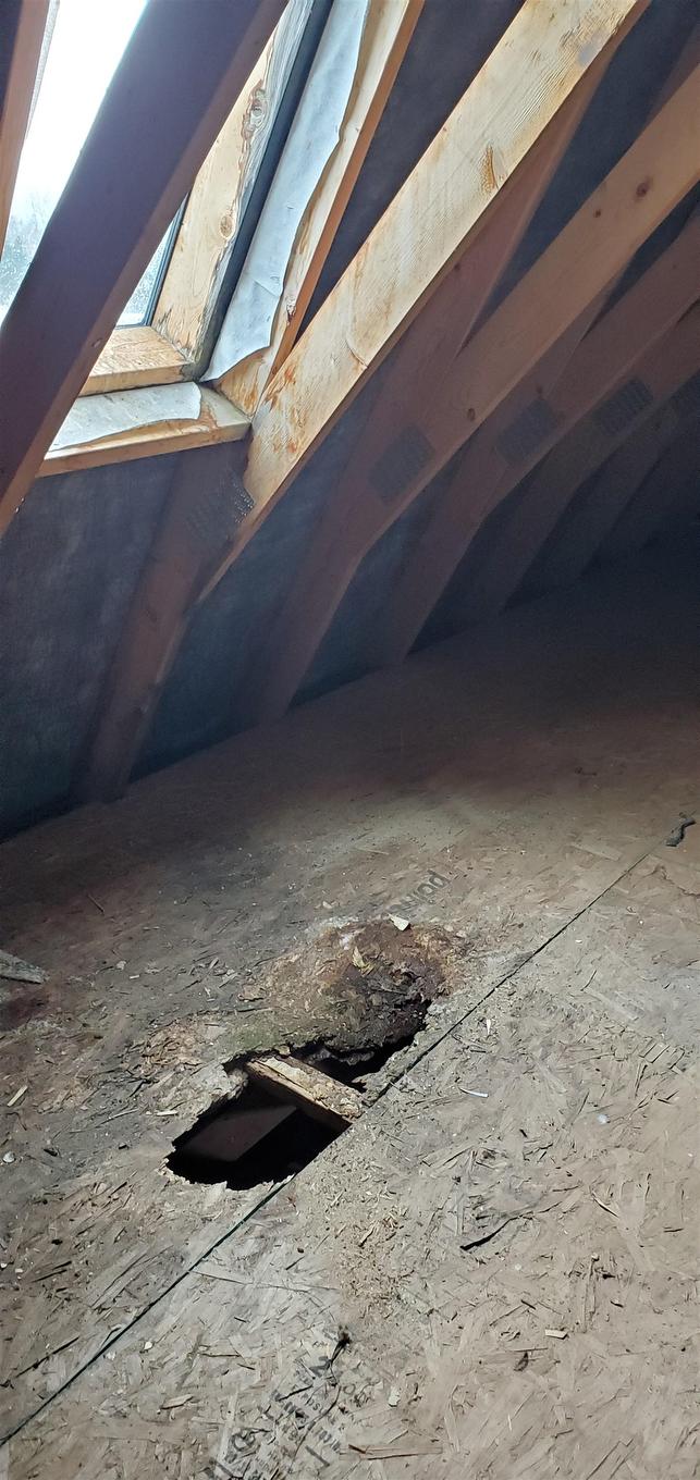 33 Lower Montague Road, Lower Montague, PE