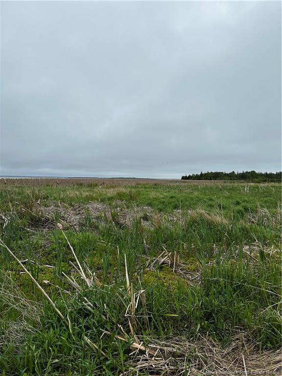 Vacant Lot Beausoleil St, Grande-Digue, NB
