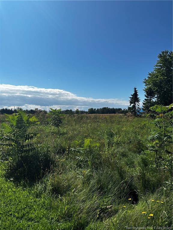 Vacant Lot Beausoleil St, Grande-Digue, NB