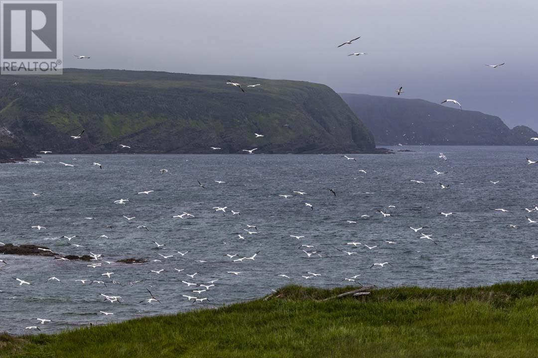 7A Flagstaff Lane, St. Bride'S, NL