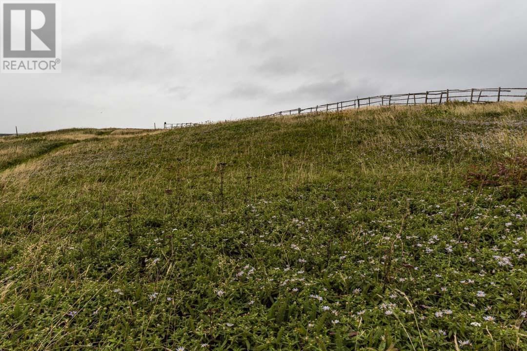 7A Flagstaff Lane, St. Bride'S, NL